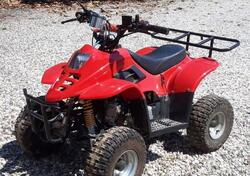  Altre moto o tipologie Quad usata