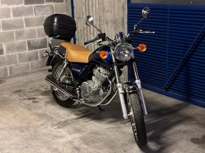 Suzuki TU 250 X (1997 - 03) (6)