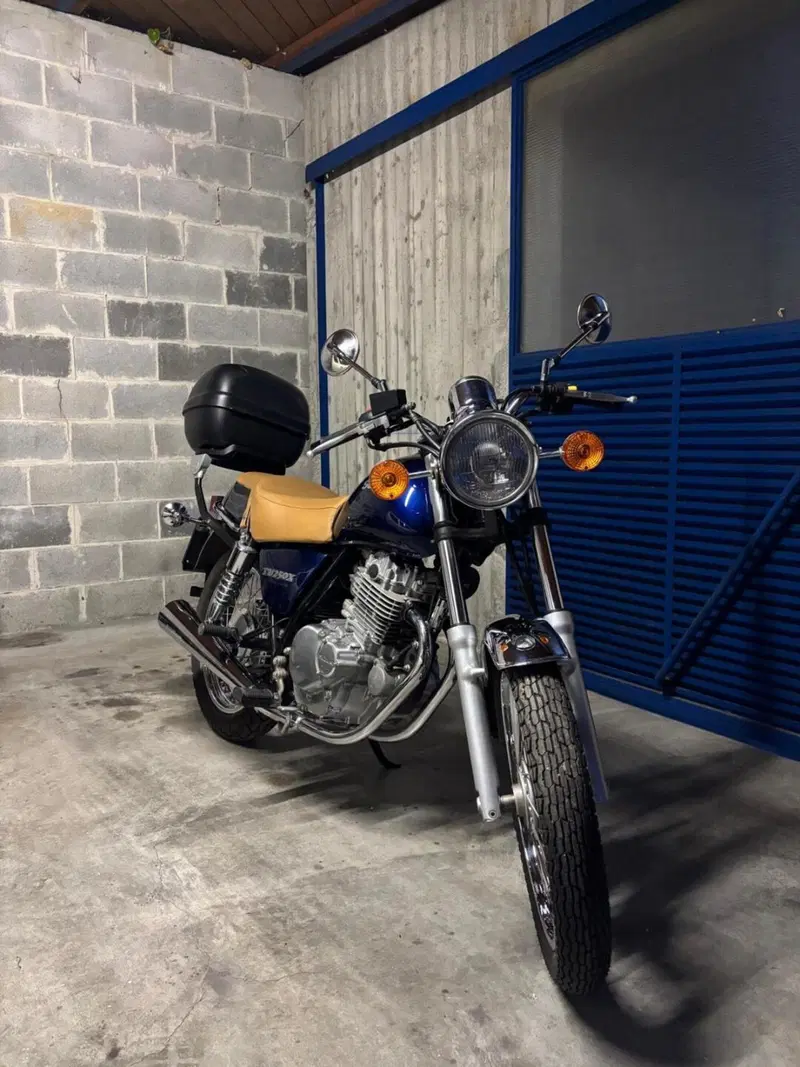Suzuki TU 250 X (1997 - 03) (7)