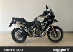 Triumph Tiger 1200 Rally Explorer (2024 - 25) usata