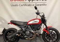 Ducati Scrambler 800 Icon (2015 - 16) usata