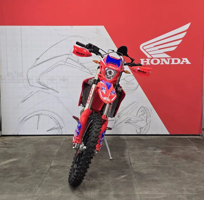 Betamotor RR 390 4T Enduro (2024) (2)