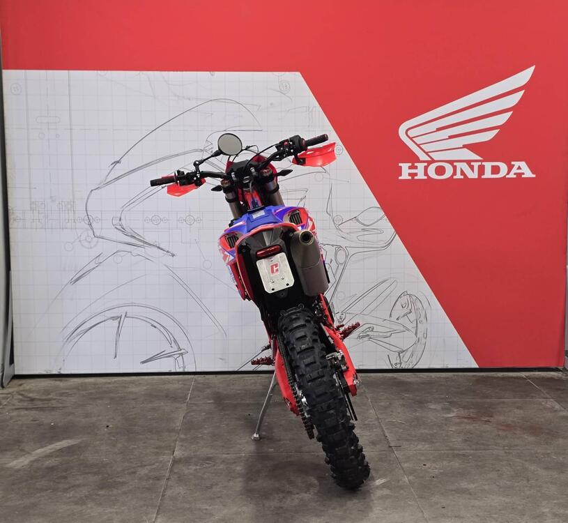 Betamotor RR 390 4T Enduro (2024) (4)