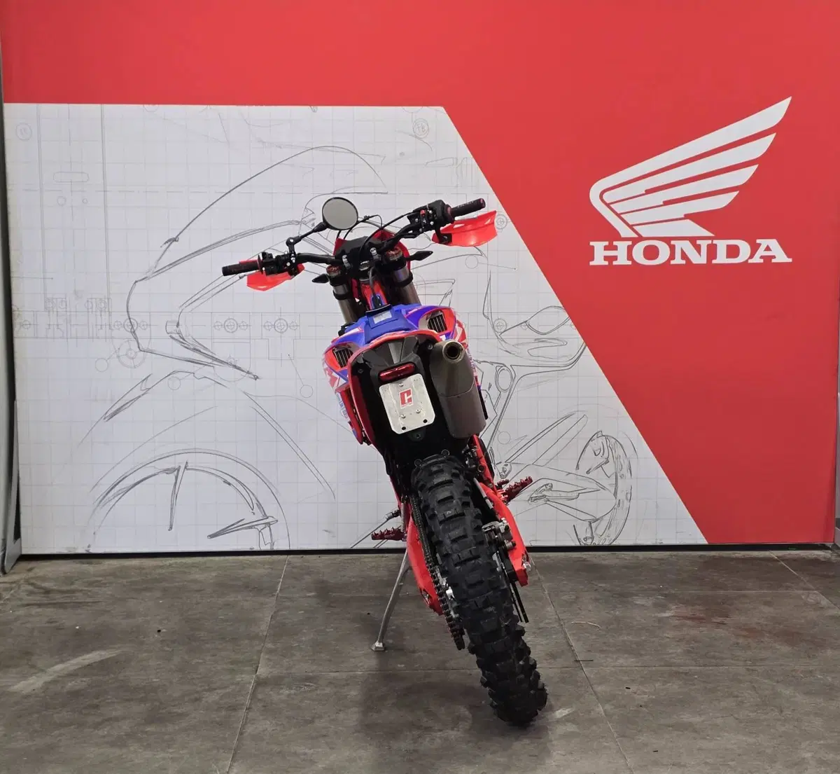 Betamotor RR 390 4T Enduro (2024) (4)