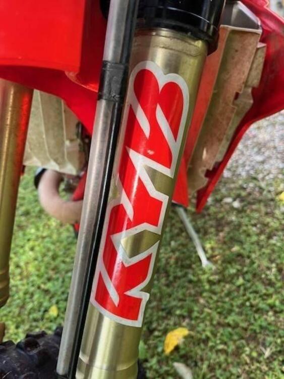 Betamotor RR 430 4T Enduro Racing (2020) (5)