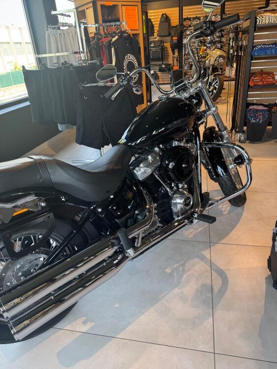 Harley-Davidson Softail Standard (2021 - 25)