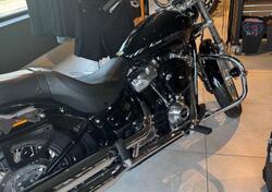Harley-Davidson Softail Standard (2021 - 25) usata