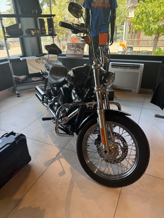 Harley-Davidson Softail Standard (2021 - 25) (2)