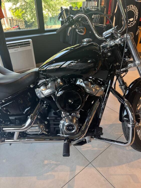 Harley-Davidson Softail Standard (2021 - 25) (3)