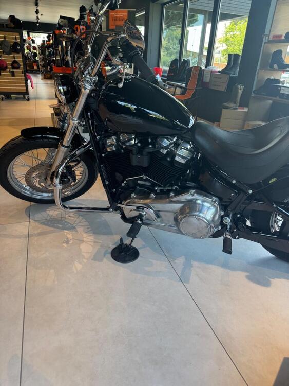 Harley-Davidson Softail Standard (2021 - 25) (4)