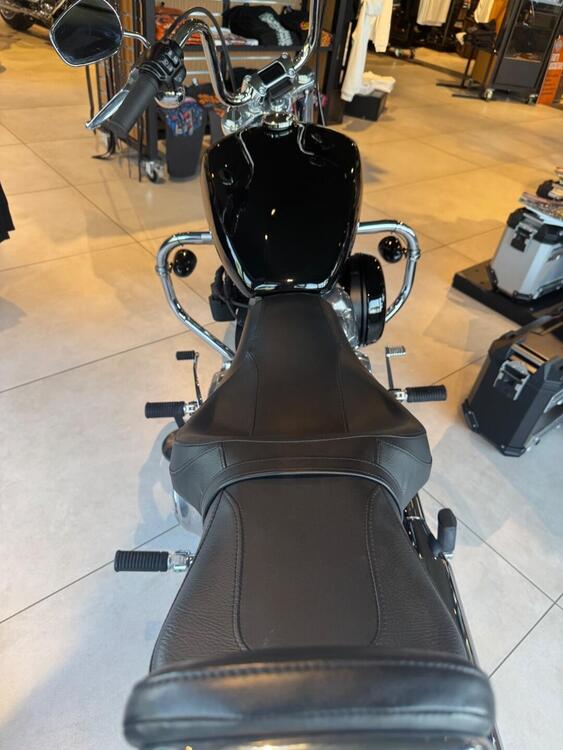 Harley-Davidson Softail Standard (2021 - 25) (5)