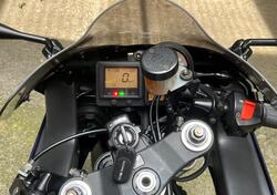 Honda CBR 900 RR Fireblade (2000 - 01) usata
