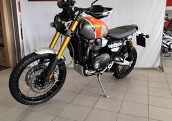 Triumph Scrambler 1200 XE Gold Line Edition (2021 - 22) usata