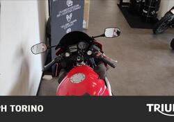 Honda CBR 600 F (2001 - 06) usata