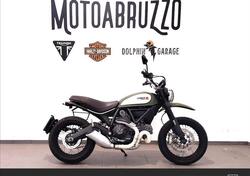 Ducati Scrambler 800 Urban Enduro (2015 - 16) usata