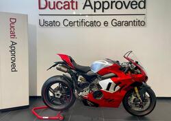 Ducati Panigale V4 R (2023 - 24) usata