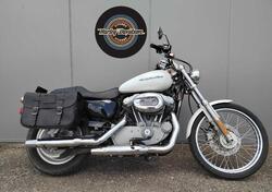 Harley-Davidson 883 Custom (2008 - 12) - XL 883C usata