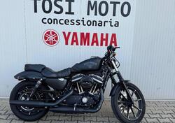 Harley-Davidson 883 Iron (2014 - 16) - XL 883N usata