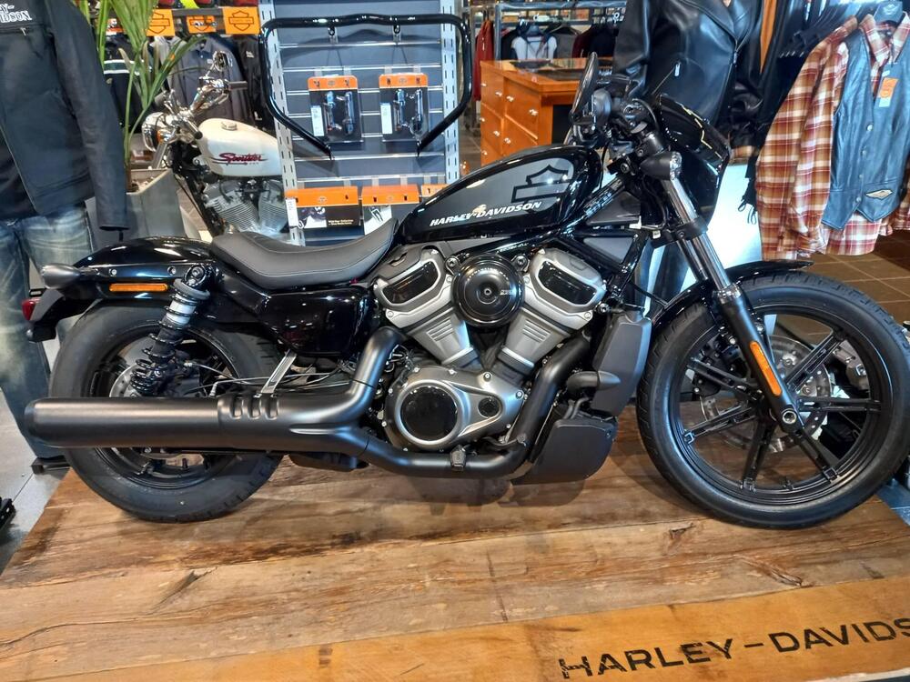 Harley-Davidson Nightster (2023 - 25)