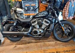 Harley-Davidson Nightster (2023 - 25) usata