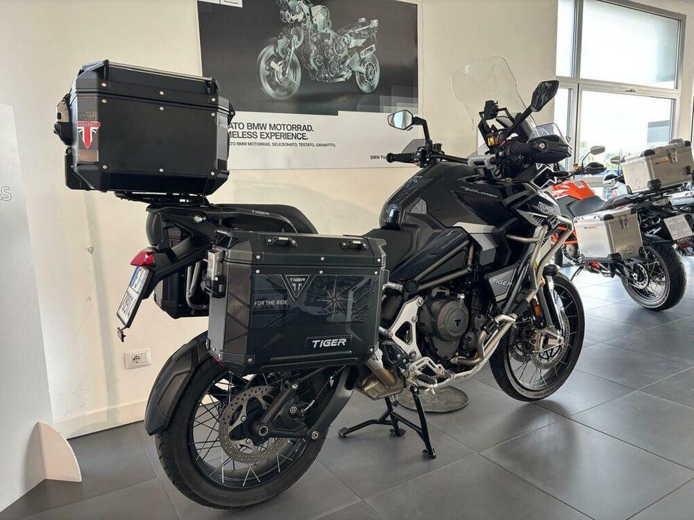 Triumph Tiger 1200 Rally Explorer (2022 - 23) (4)
