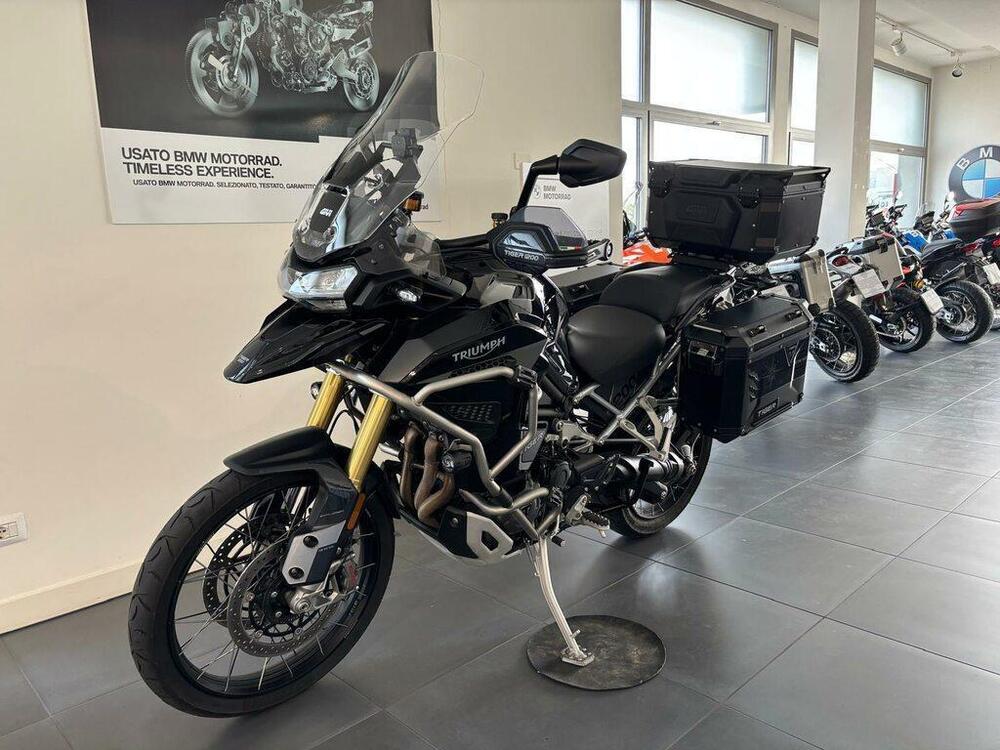 Triumph Tiger 1200 Rally Explorer (2022 - 23) (5)