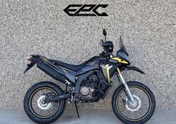 Voge Valico 300 Rally (2022 - 25) nuova