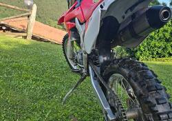 HM CRE F 250 R (2009 - 11) usata