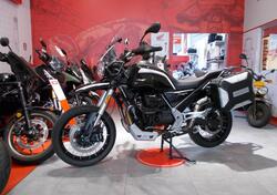 Moto Guzzi V85 TT Guardia d'Onore (2022 - 23) usata