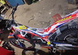 Betamotor Evo 300 2t Factory (2016) usata