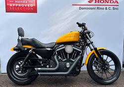 Harley-Davidson 883 Iron (2009 - 11) - XL 883N usata