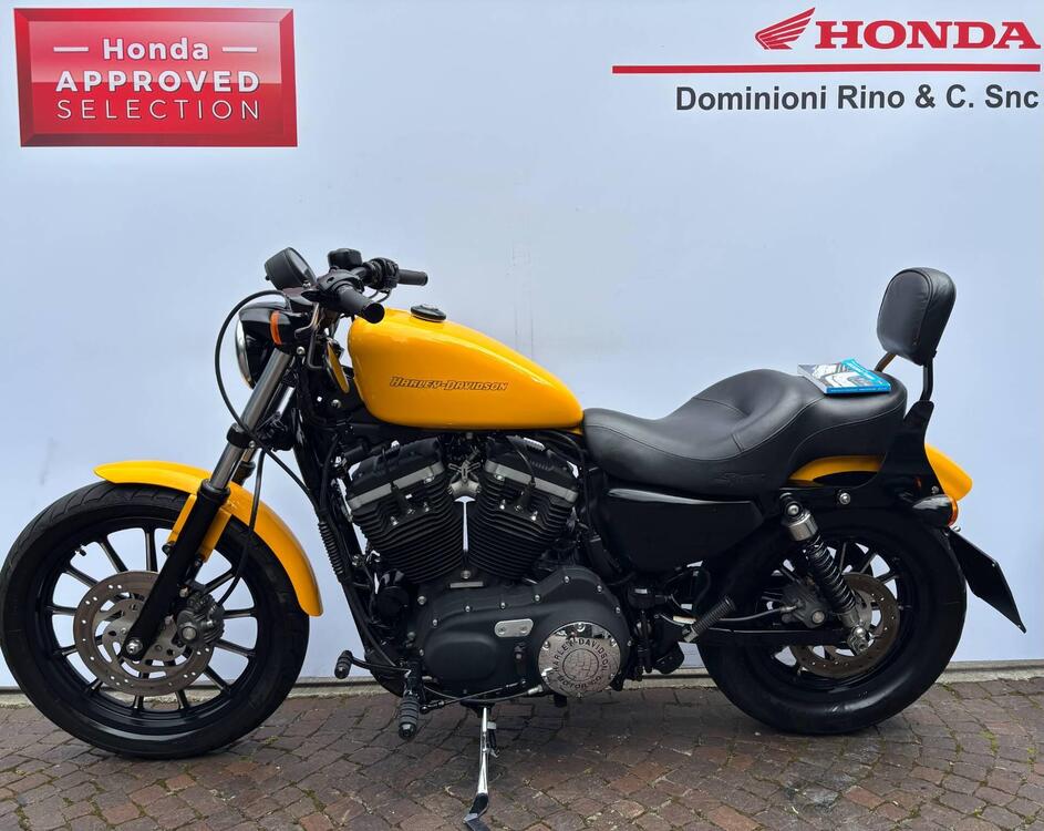 Harley-Davidson 883 Iron (2009 - 11) - XL 883N (2)