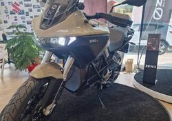 Zero DS (2024 - 25) usata