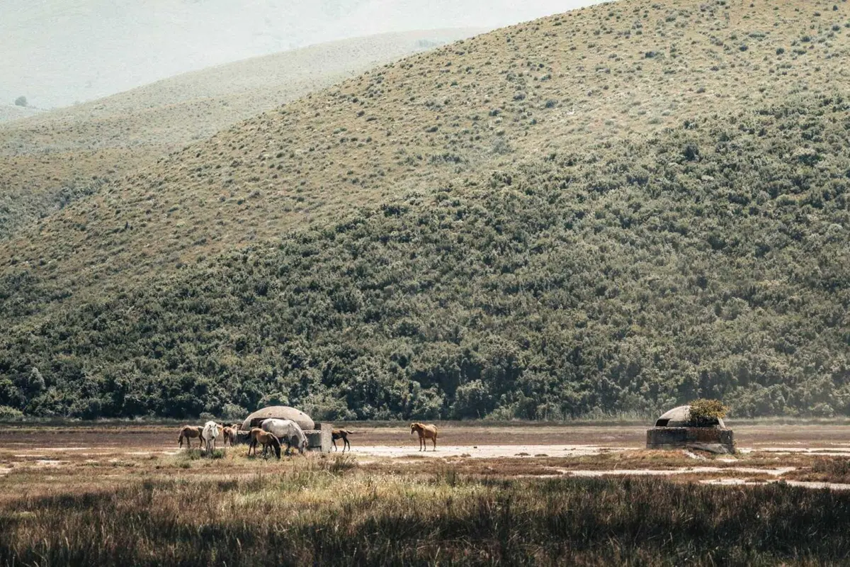 Rally-Raid. Alla conquista dell’Albania (Colour) (16)