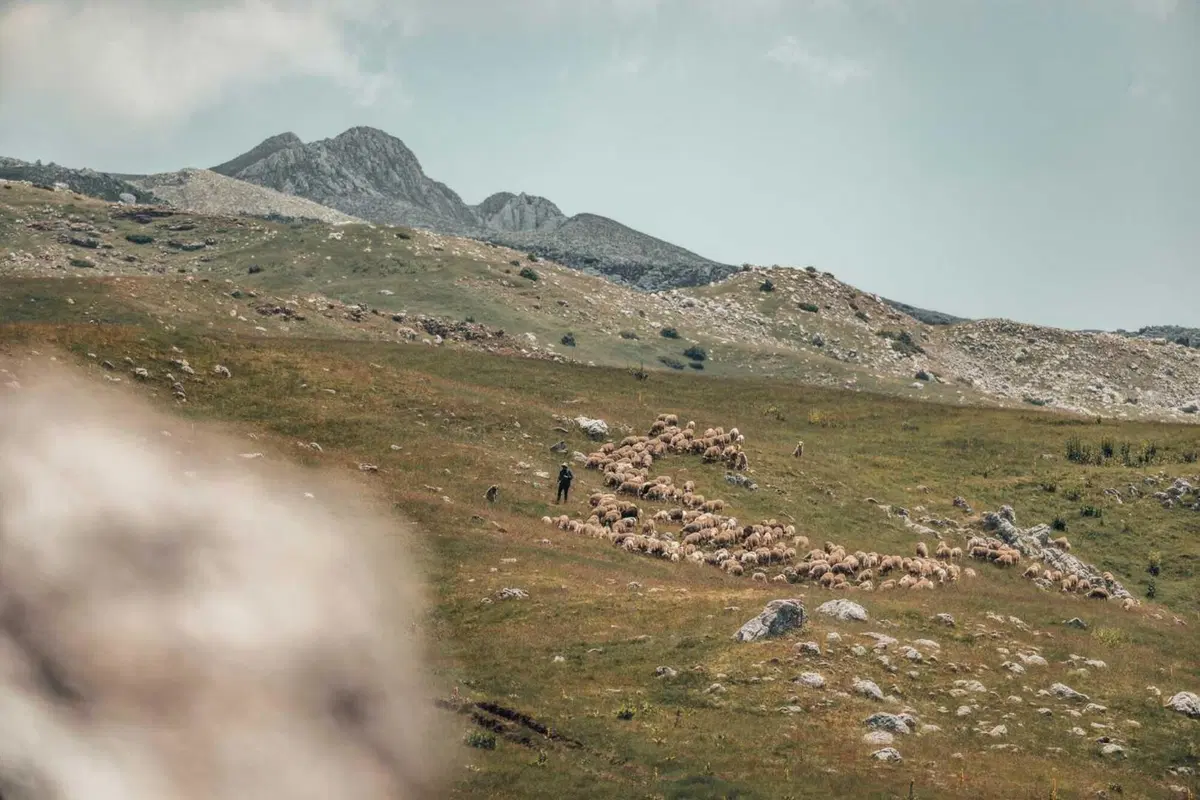 Rally-Raid. Alla conquista dell’Albania (Colour) (24)