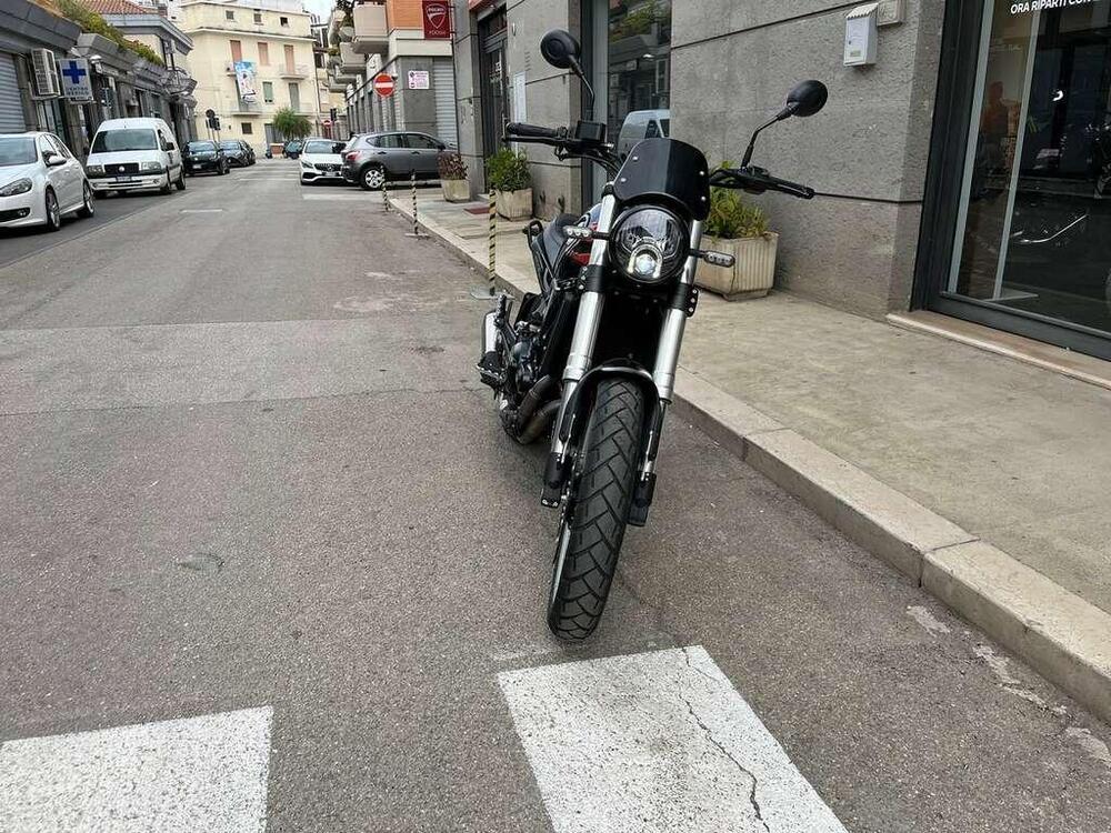 Benelli Leoncino 500 Trail (2021 - 25) (3)