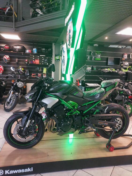 Kawasaki Z 900 A2 (2025 - 26) (4)