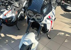Ducati DesertX (2022 - 25) usata