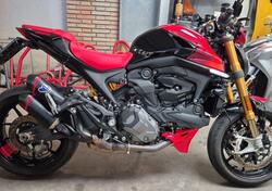 Ducati Monster 937 SP (2023 - 25) usata
