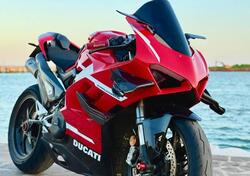 Ducati Panigale V4 1100 (2018 - 19) usata