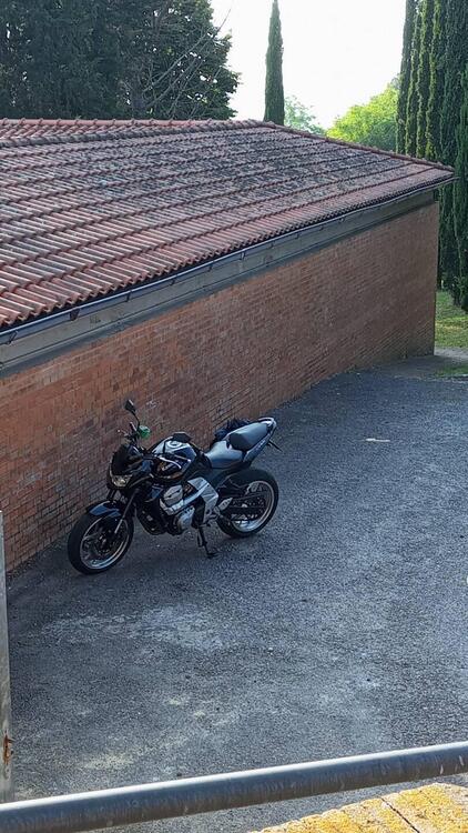 Kawasaki Z 750 (2007 - 14)