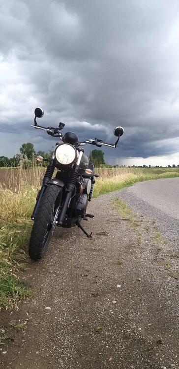 Triumph Street Scrambler 900 (2021 - 22) (3)