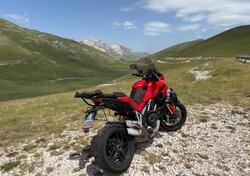 Ducati Multistrada 1200 ABS (2013 - 14) usata