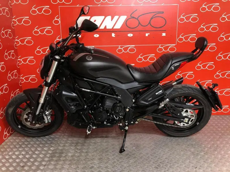 Benelli 502 C (2019 - 20) (3)