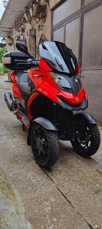 Quadro QV3 350 (2018 - 19)