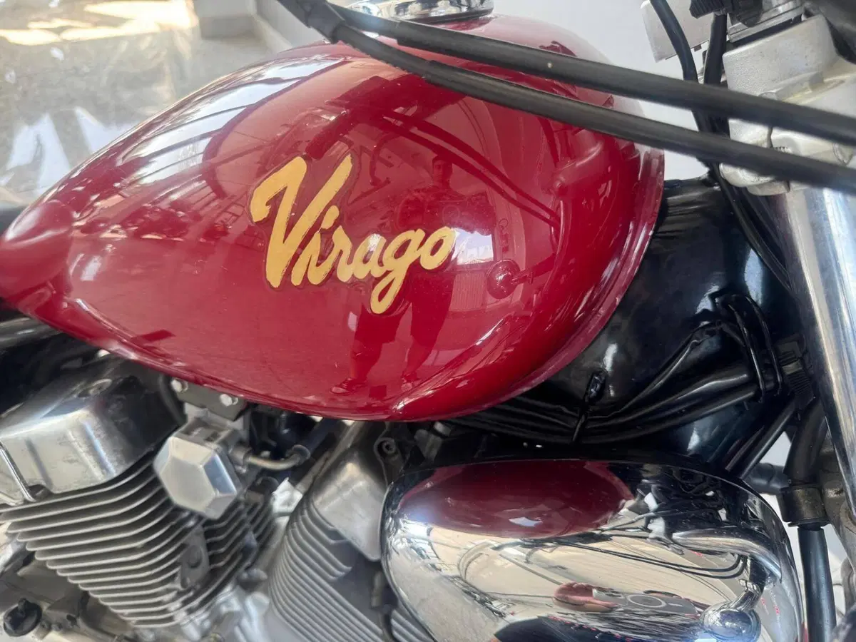 Yamaha XV 250 Virago (1989 - 93) (7)