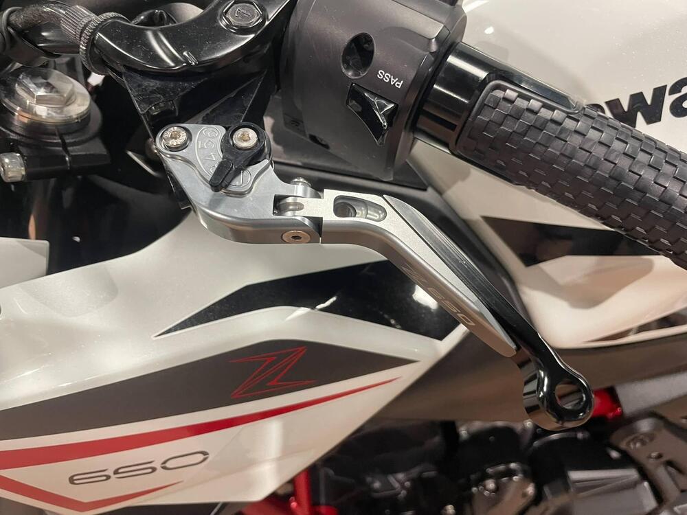 Kawasaki Z 650 Performance (2021 - 24) (4)