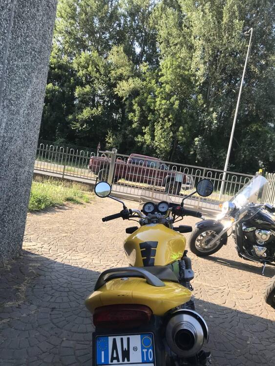 Honda Hornet 600 (2000 - 02) (4)
