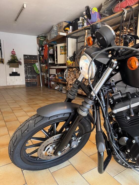 Harley-Davidson 883 Iron (2009 - 11) - XL 883N (4)