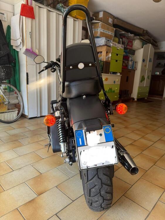 Harley-Davidson 883 Iron (2009 - 11) - XL 883N (5)